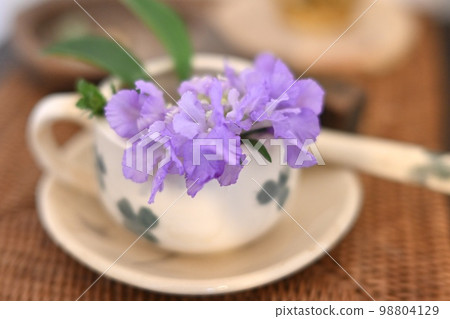 杯子裡的紫色花朵 杯子裡的紫色花朵 98804129
