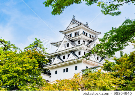 岐阜縣郡上八幡城城樓 98804940