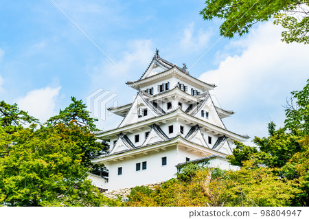 岐阜縣郡上八幡城城樓 岐阜縣郡上八幡城城樓 98804947