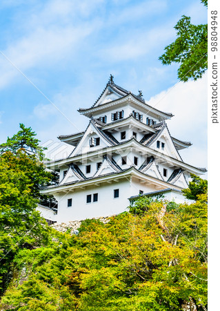 岐阜縣郡上八幡城城樓 98804948
