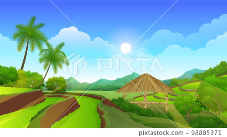 Rice field Terraces with Bamboo Gazebo, Beautiful nature rural landscape Rice field Terraces with Bamboo Gazebo, Beautiful nature rural landscape 98805371