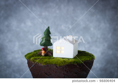 Image of a lonely house 98806404