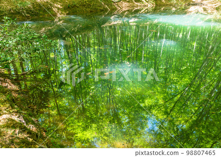 新鮮的綠色和生態形象 新鮮的綠色和生態形象 98807465