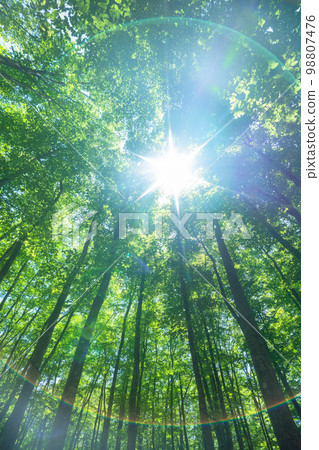 Fresh green and eco image 98807476