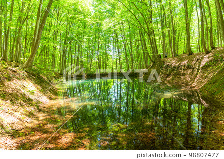 Fresh green and eco image 98807477