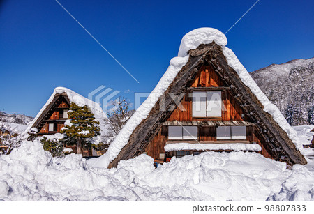 Snow Shirakawa Town 98807833