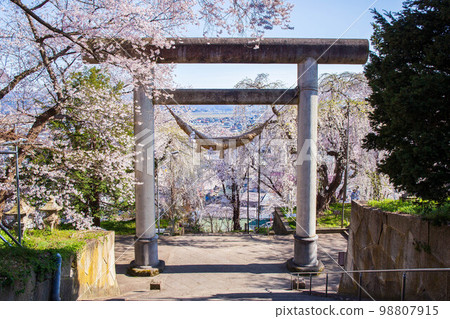 100 Famous Cherry Blossom Spots in Japan Yamagata Eboshiyama Park Ishitorii 98807915
