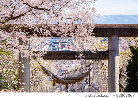日本賞櫻名所100處 山形市烏干山公園 石取居 98808067