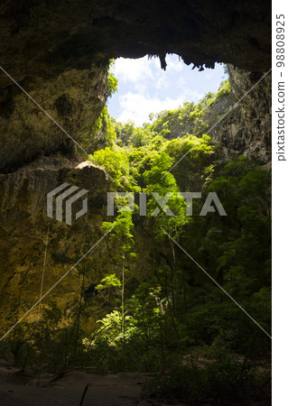 The light shining through trees from top to bottom inside the cave of Phraya Nakhon Cave at Prachuap Khiri Khan, Thailand. The light shining through trees from top to bottom inside the cave of Phraya Nakhon Cave at Prachuap Khiri Khan, Thailand. 98808925