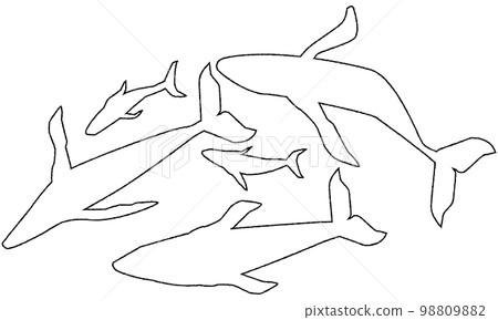 Illustration of humpback whale Illustration of humpback whale 98809882