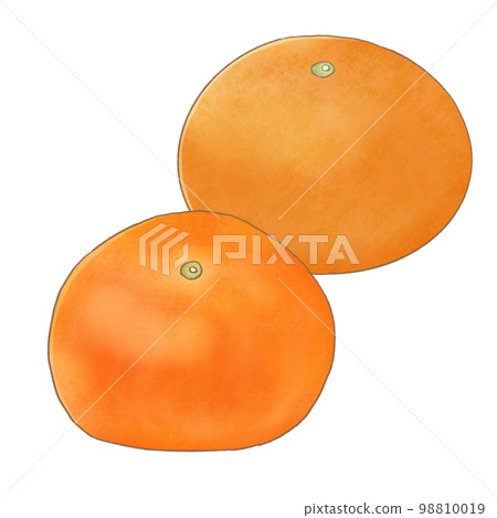 Hand-drawn style, 2 mandarin oranges lined up 98810019