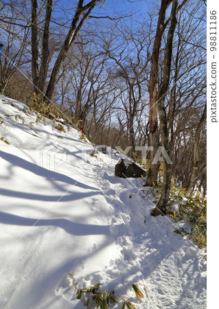 嚴冬的赤城山風景(駒岳起點的登山路/2023年1月) 嚴冬的赤城山風景(駒岳起點的登山路/2023年1月) 98811186