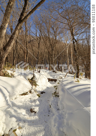 嚴冬的赤城山風景（駒岳起點的登山路/2023年1月） 98811188