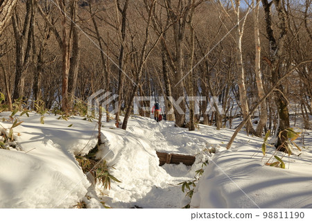 嚴冬的赤城山風景(駒岳起點的登山路/2023年1月) 嚴冬的赤城山風景(駒岳起點的登山路/2023年1月) 98811190