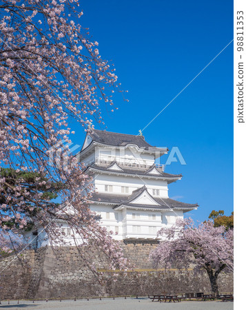 神奈川4月/小田原小田原城樓和櫻花 神奈川4月/小田原小田原城樓和櫻花 98811353