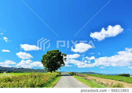Hokkaido summer blue sky and Biei landscape Hokkaido summer blue sky and Biei landscape 98811863