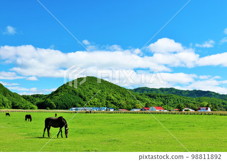 Thoroughbred farm of Hokkaido blue sky 98811892