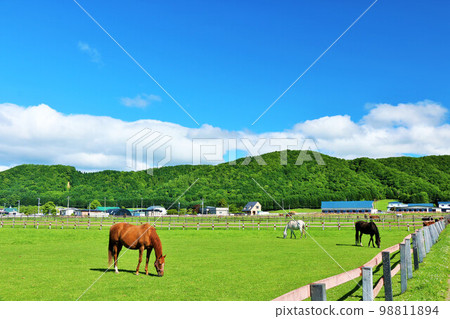 Thoroughbred farm of Hokkaido blue sky 98811894