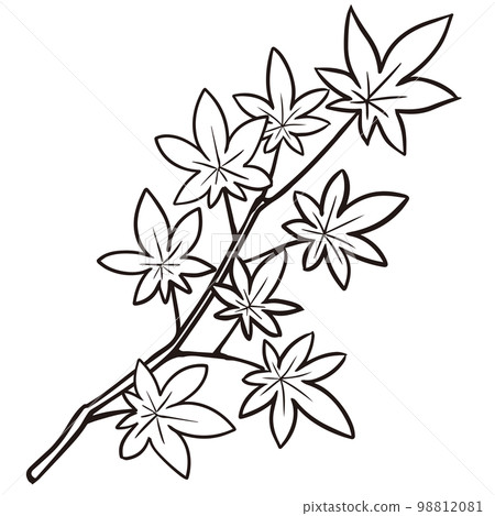 像楓木黑白剪紙一樣的線條畫 98812081