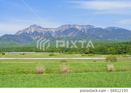 Yatsugatake seen from Nobeyama Plateau Yatsugatake seen from Nobeyama Plateau 98812193