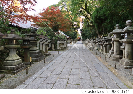 京都的日本神社:從石清水八幡區正門進入的景色 京都的日本神社:從石清水八幡區正門進入的景色 98813545