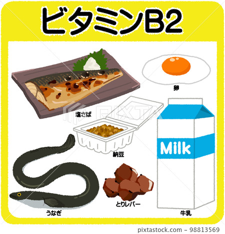 維生素 B2 的插圖 維生素 B2 的插圖 98813569