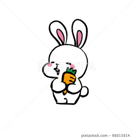 拿著胡蘿蔔的兔子插畫 98813814