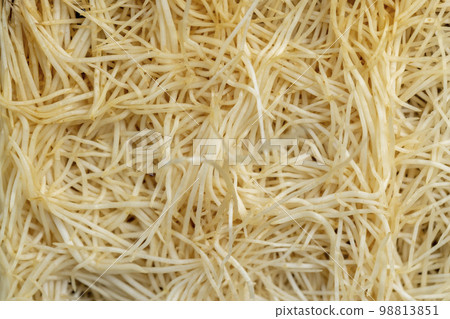 A large number of pea roots are light yellow 98813851