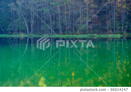Chino City, Nagano Prefecture Mishaka Pond in the early autumn morning Chino City, Nagano Prefecture Mishaka Pond in the early autumn morning 98814247