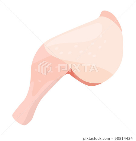 Vector illustration of chicken thigh. 98814424