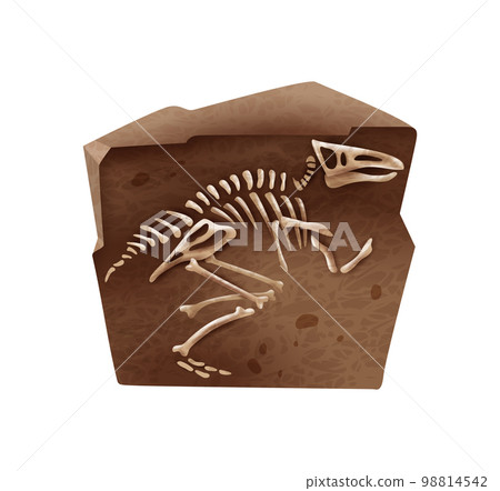 Archeology Dino Bones Composition Archeology Dino Bones Composition 98814542