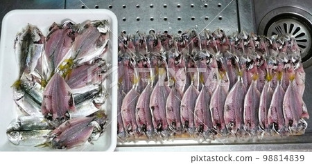 打開你釣到的小竹莢魚 打開你釣到的小竹莢魚 98814839