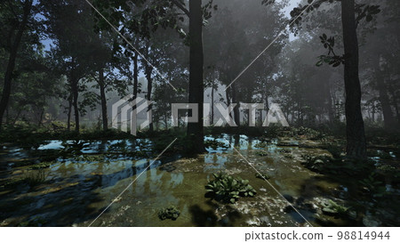 Mystic foggy swamp with trees 98814944