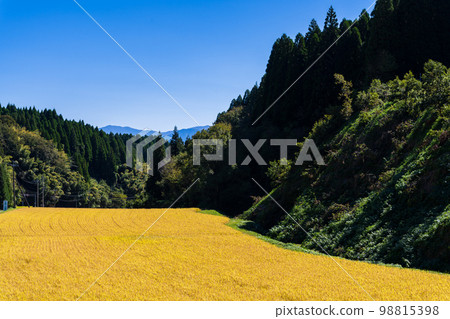 稻穗與田園風光“在大和町隨處可見的梯田裡，製作著老式的掛幹稻。” 98815398
