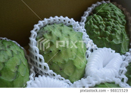 Atemoya (Okinawa) 98815529