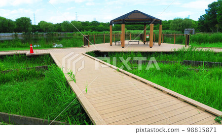 Scenery of Tokyo Metropolitan Park 98815871