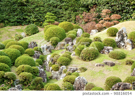 Japanese garden image 98816054