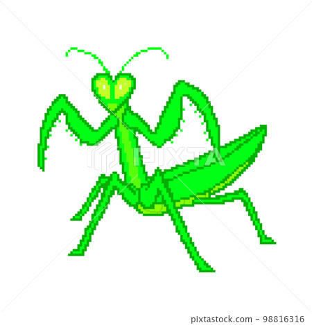 螳螂_點圖 螳螂_點圖 98816316