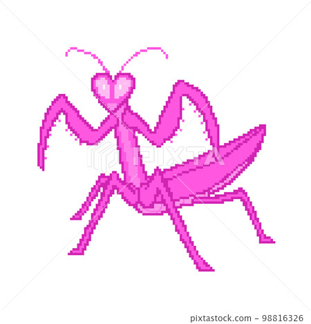 Mantis_dot 圖片（粉色） 98816326