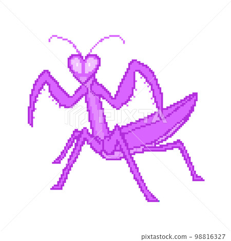 Mantis_dot 圖片（紫色） 98816327