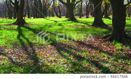 縣立和光十林公園的風景 縣立和光十林公園的風景 98817886