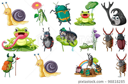 Set of various insects and amphibians cartoon Set of various insects and amphibians cartoon 98818285