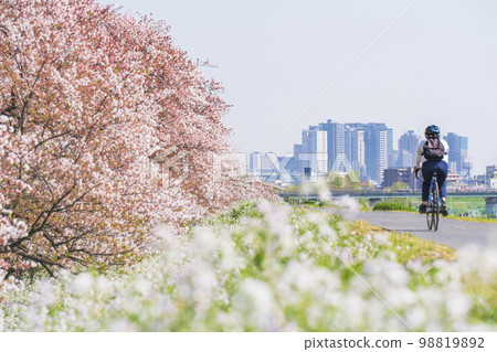 Scenery of the cycling road on the riverbed of the Tamagawa River in spring [Ota Ward, Tokyo - Kawasaki City, Kanagawa Prefecture] 98819892