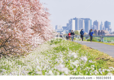 春天多摩川河床自行車道的風景[東京都大田區-神奈川縣川崎市] 98819893
