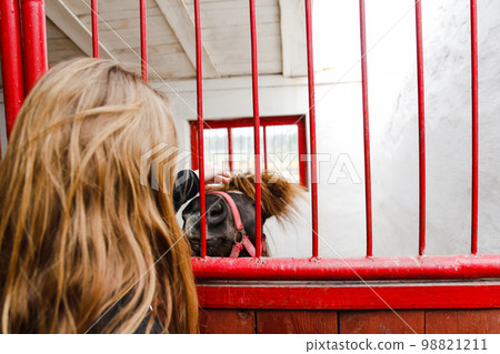 Young blonde girl stroking a brown horse back view. Happy little girl petting a pony through a red fence. Reiki concept. Zoo bars. Out of focus Young blonde girl stroking a brown horse back view. Happy little girl petting a pony through a red fence. Reiki concept. Zoo bars. Out of focus 98821211