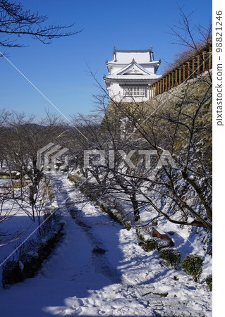 岡山縣津山市賞櫻百選之一的“鶴山公園(津山城前)”:雪景 岡山縣津山市賞櫻百選之一的“鶴山公園(津山城前)”:雪景 98821246