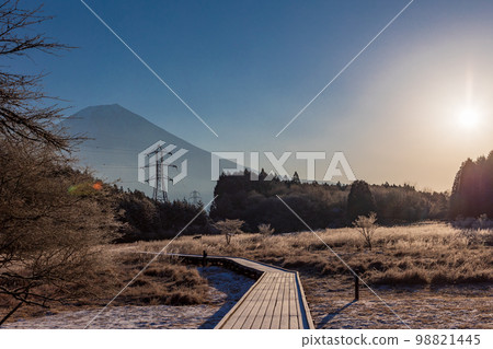 (Shizuoka Prefecture) Odanuki Wetlands in winter Mt. Fuji 98821445