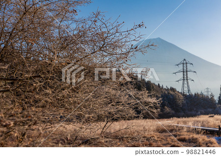(靜岡縣)冬天的小田貫濕原 富士山 (靜岡縣)冬天的小田貫濕原 富士山 98821446