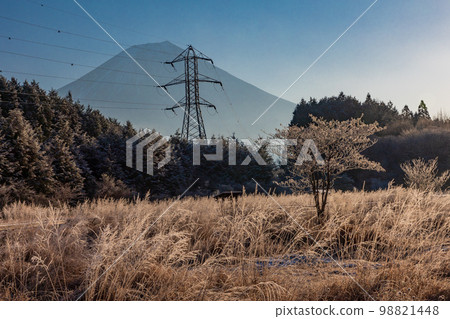 （靜岡縣）冬天的小田貫濕原 富士山 98821448