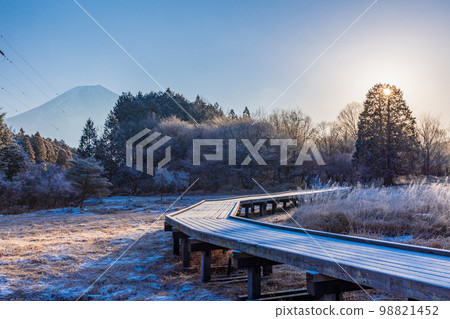 (Shizuoka Prefecture) Odanuki Wetlands in winter Mt. Fuji 98821452